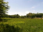 197+/- Ac, Home & Barn - 34+/- Ac on River - Tractor, Trucks, Boat & Contents Auction Photo