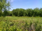 197+/- Ac, Home & Barn - 34+/- Ac on River - Tractor, Trucks, Boat & Contents Auction Photo