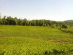 197+/- Ac, Home & Barn - 34+/- Ac on River - Tractor, Trucks, Boat & Contents Auction Photo