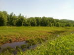 197+/- Ac, Home & Barn - 34+/- Ac on River - Tractor, Trucks, Boat & Contents Auction Photo