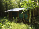 Rustic Camp Style Dwelling - 8.58+/- Acres Auction Photo