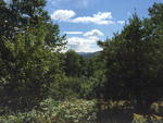 Parcel #3 View of Mt. Blue Auction Photo