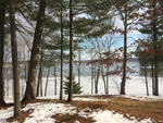 3BR Home ~ Lake Views Auction Photo
