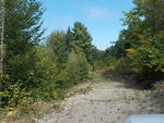 83-Lot Waterfront Subdivision Auction Photo