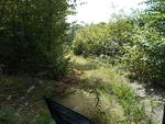 83-Lot Waterfront Subdivision Auction Photo