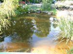 Commercial Florist & Garden Center - 8.9+/-Acres Auction Photo