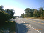 Commercial Florist & Garden Center - 8.9+/-Acres Auction Photo