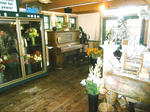 Commercial Florist & Garden Center - 8.9+/-Acres Auction Photo