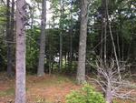 1+/- Acre Residential Lot Auction Photo