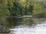 Gravel Pit ~ 57+/- Acres ~ River Frontage ~ Island Auction Photo