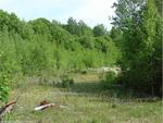 Gravel Pit ~ 57+/- Acres ~ River Frontage ~ Island Auction Photo